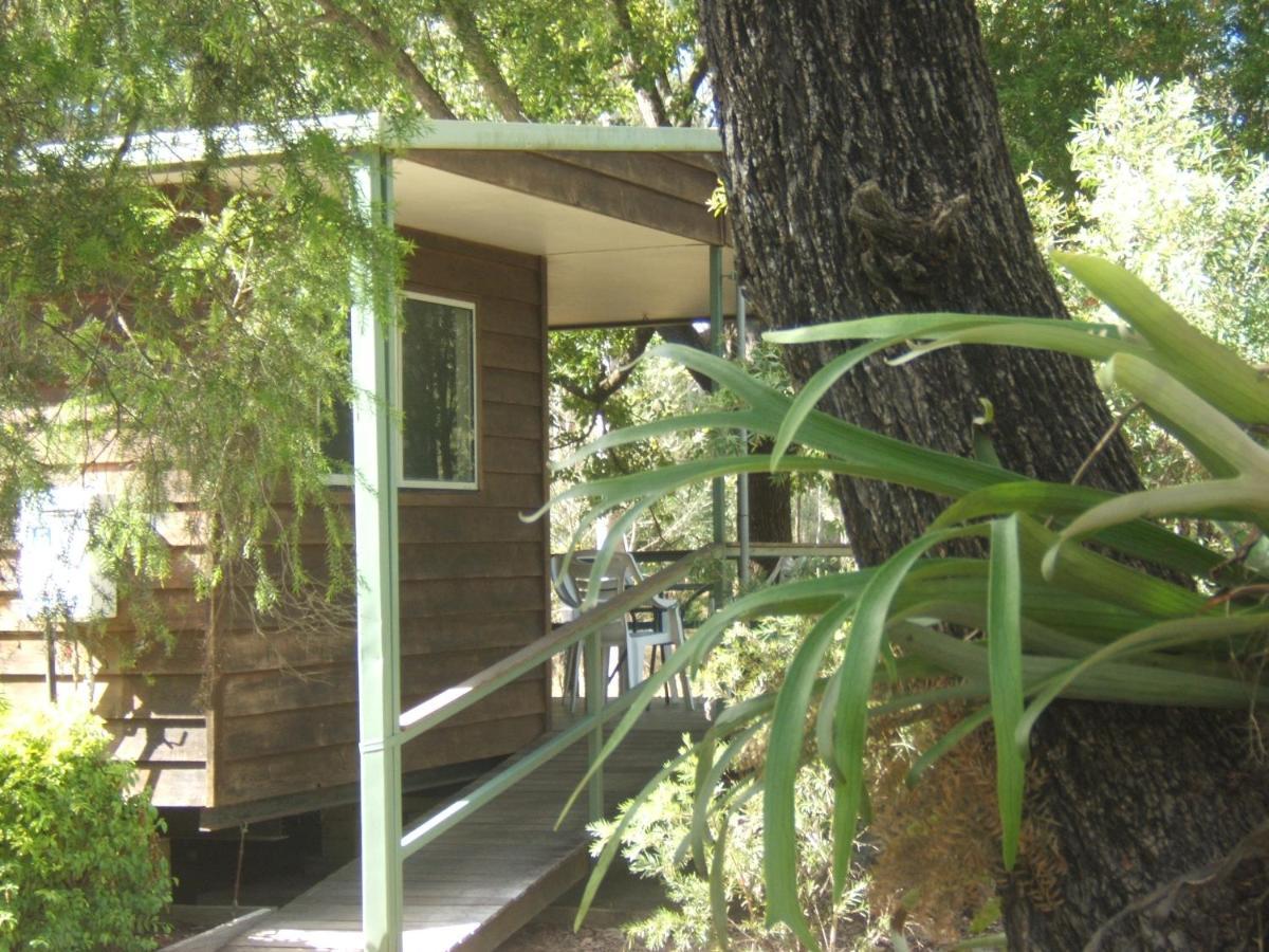 Scenic Rim Motel Aratula Εξωτερικό φωτογραφία